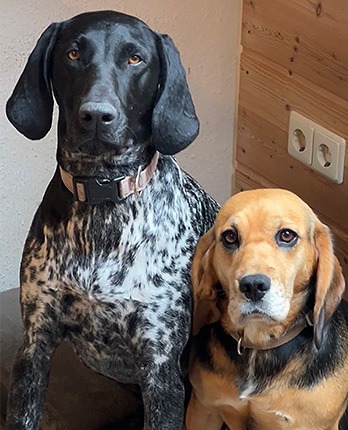 Unsere wichtigsten Mitarbeiter